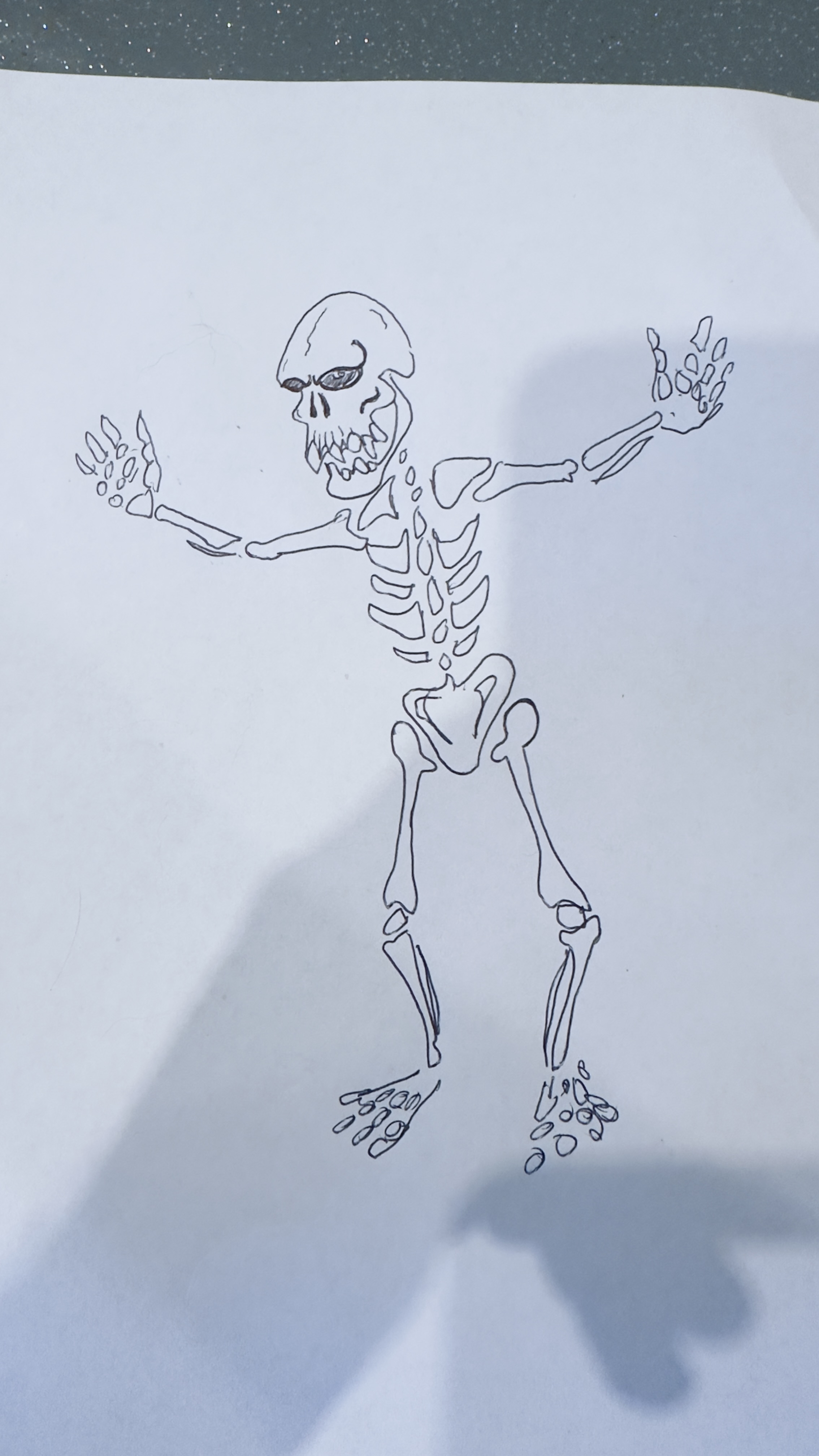 Dessin squelette
